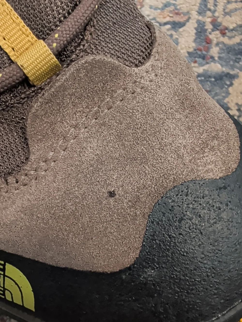 The North Face Men’s Brown Trail Hiking Shoes with Yellow Accents